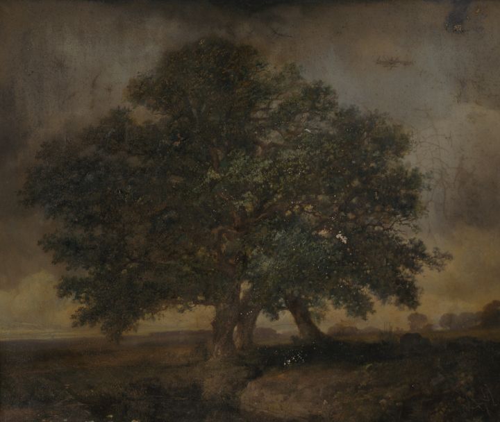 Oak tree study - Classical Artworks Bay - Paintings & Prints, People &  Figures, Other People & Figures, Male - ArtPal