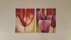 Beauty of tulips.