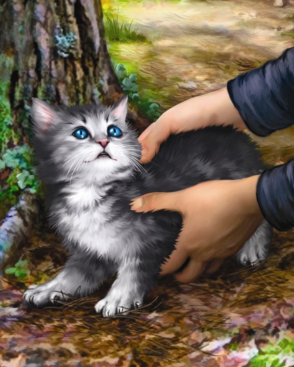 Boy Finds Kitten in the Woods - Aviva Gittle Gifts