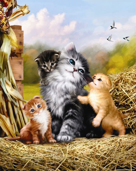 Kitten & Kin - Aviva Gittle Gifts