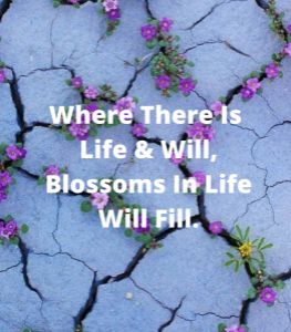 Where There Is Life & Will