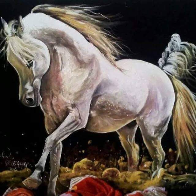 arabian horse - SALVINI