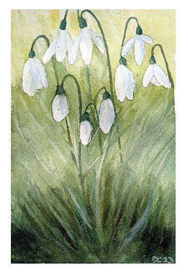 Spring Snowdrops - Duncan Cameron - Paintings & Prints, Flowers, Plants ...