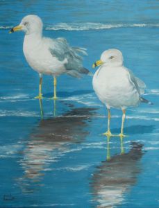 Jonathan Livingston - Art by Tea Silvestre Godfrey - Paintings