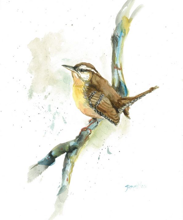 Watercolor Painting Bird on branch - ArtbyJennyYao