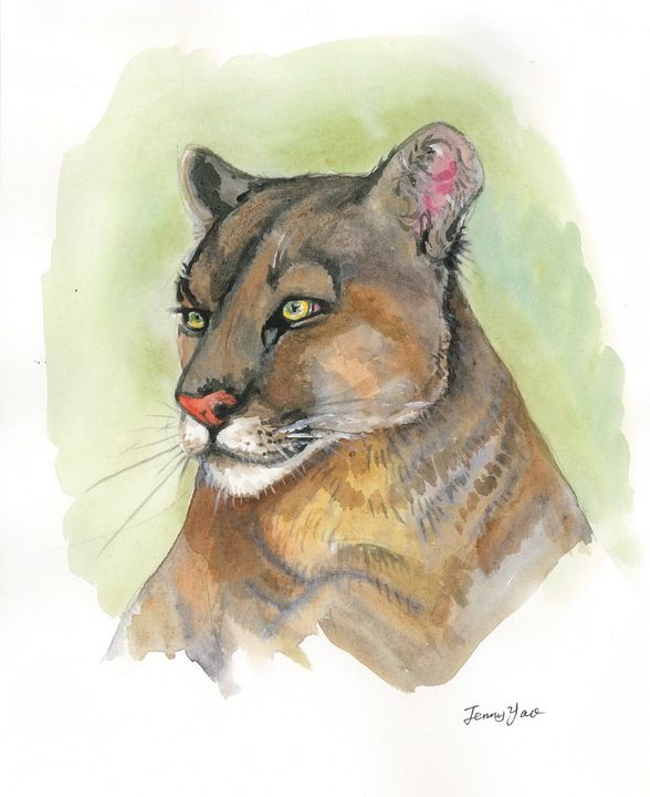 Watercolor painting Puma - ArtbyJennyYao