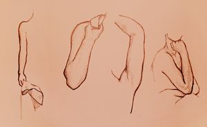 Human Form - Arms