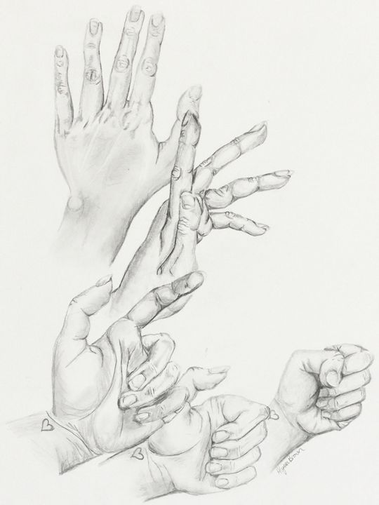 Hands Alyssa Brown Drawings Illustration People Figures Other People Figures Other Artpal