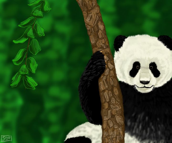Panda Bear - SDF - Digital Art, Animals, Birds, & Fish, Bears, Panda -  ArtPal