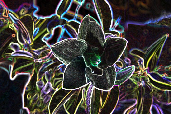 Fancy Prismatic Neon Colors Flower B - Christine aka stine1