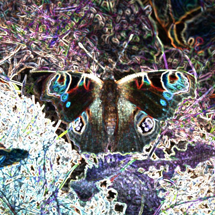Pixelated Butterfly - Christine aka stine1