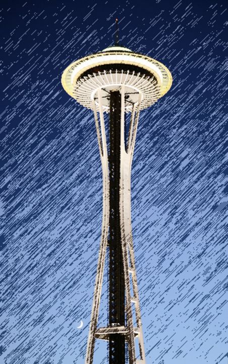 Seattle Space Needle rainy Night - Christine aka stine1