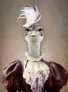 Lady Ostrich
