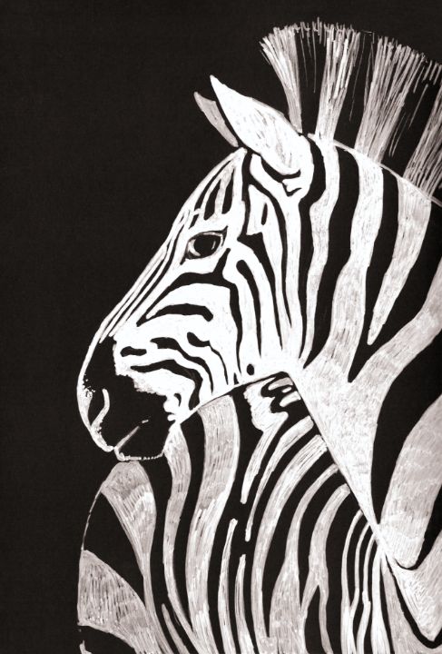zebra - GalaArt - Paintings & Prints, Animals, Birds, & Fish, Zebras -  ArtPal