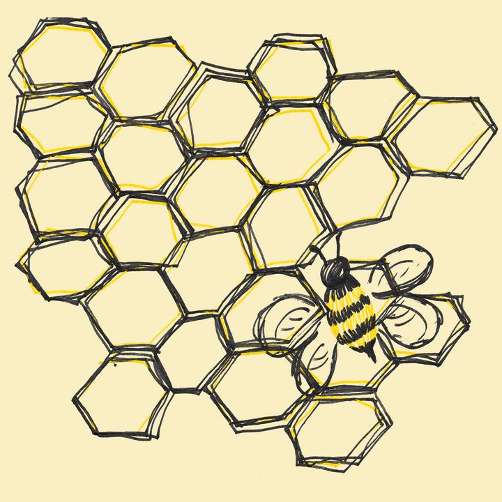 bee honeycomb drawing