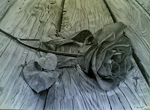fallen rose