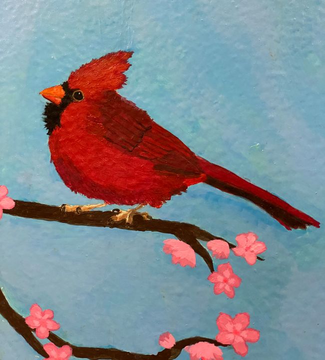 A Little Red Cardinal - Moh Al-Zaher