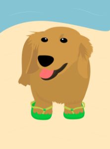 Dog with flip-flops
