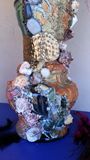 seashell  glass  table  vase