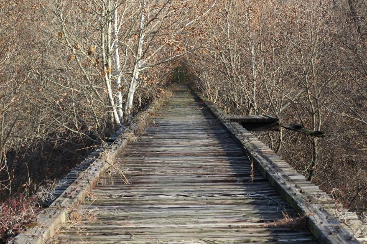 Old Monon High Bridge Delphi Murders - Nina La Marca Artistic ...