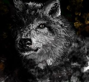 Wolf in Shadows