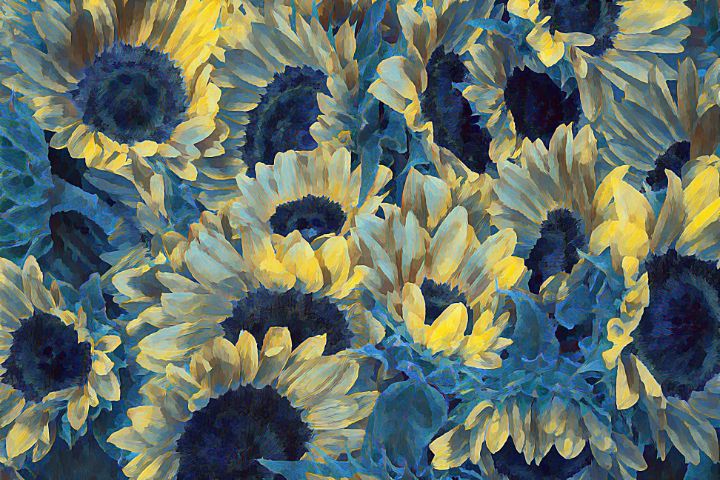 Sunflowers Blue - TRS Digital Designs