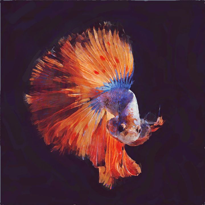 Stunning Betta Fish - TRS Digital Designs