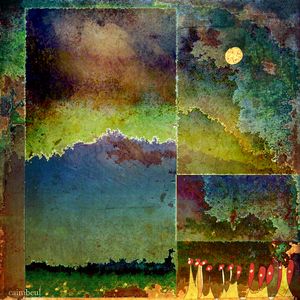 Segmented landscape.