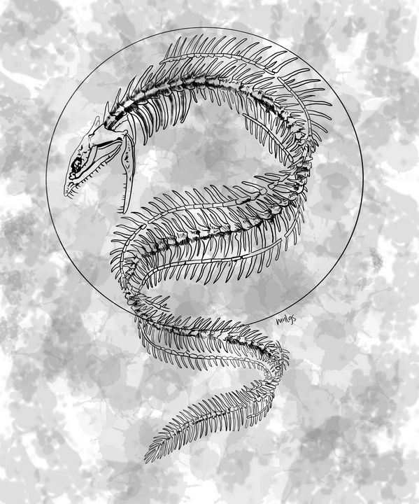 Fish Skeleton - .mnlgs. - Digital Art, Animals, Birds, & Fish