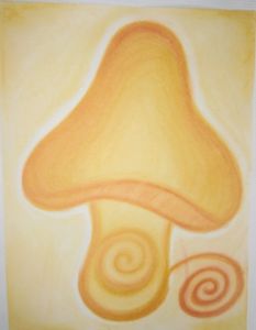 Le champignon magique