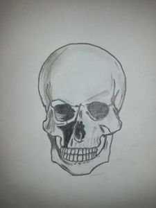 Front Skull