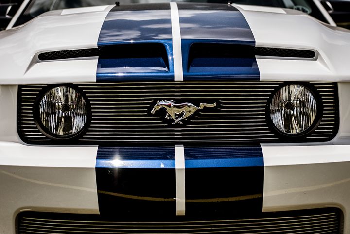 Blue and White Ford Mustang - MHP