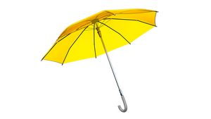 Stylish Transparent Umbrella