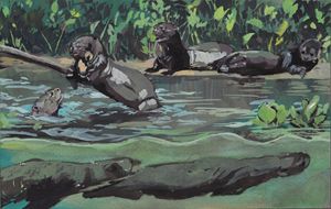 River otters