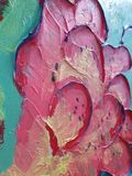 Hummingbird deep edged canvas