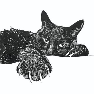 Cat And Butterfly Pencil Art - Deepa paintings - Drawings & Illustration,  Animals, Birds, & Fish, Cats & Kittens, Other Cats & Kittens - ArtPal