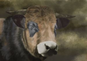 Simmenthaler cow, vleckvieh