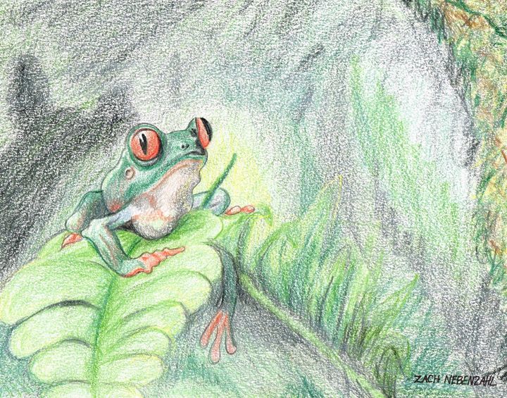 Frog on leaf - Zach Nebenzahl