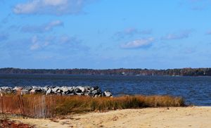 Sandy Shoreline