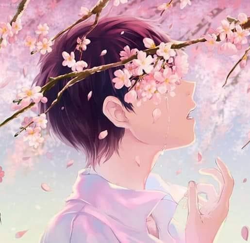 Anime girl in cherry blossoms by xRebelYellx on DeviantArt