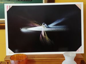 Unique Photography Print