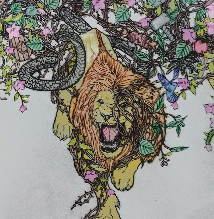 lion coloring pages for adults colored pencils