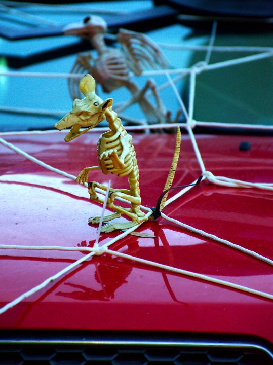 Chrus Rats Cruz Rat - chrismercerimages - Digital Art & AI, Holidays & Occasions ...