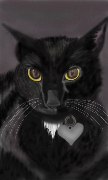 Black Cat - SterlingRose