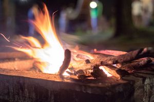 Lively Campfire Wood Dances