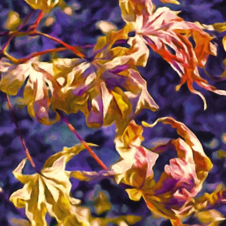 Blue Autumn - Susan Maxwell Schmidt  Art on the Edge - Paintings & Prints,  Flowers, Plants, & Trees, Trees & Shrubs, Maple - ArtPal