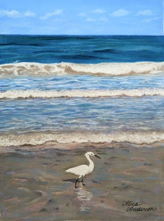 Strutting the Surf - Alice Artist Studio - Paintings & Prints ...
