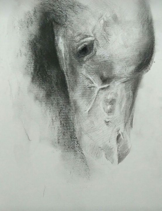 Horse head - Parthfineart