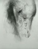 Drawings