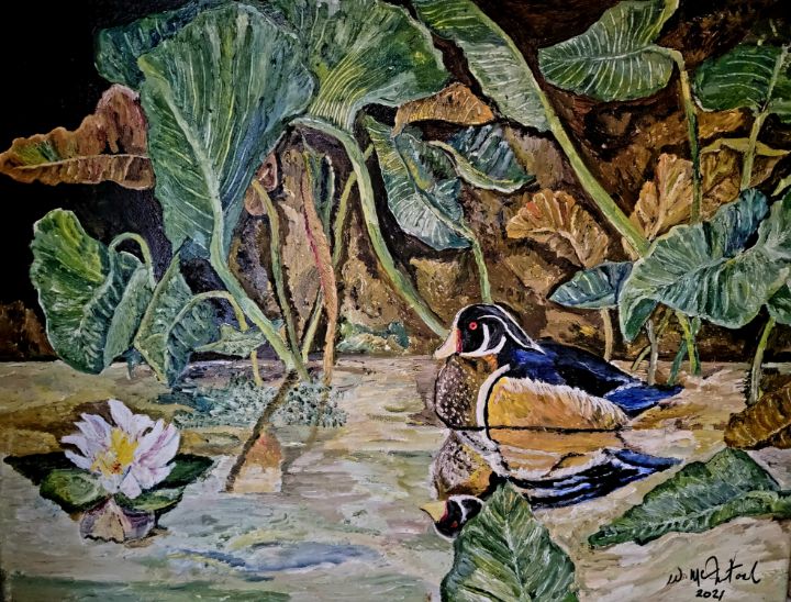 Mallard Duck in Pond - Billy's Artwork